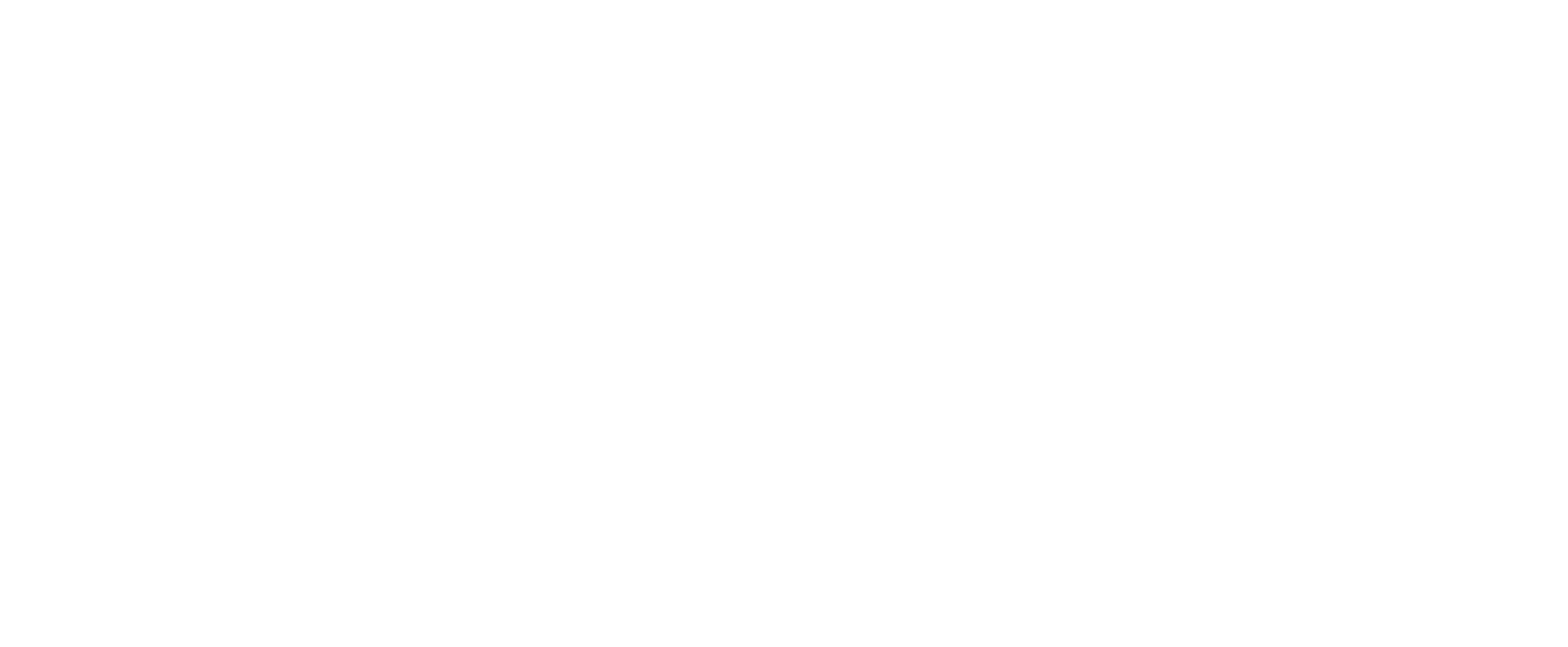 TRUE RUNNERS